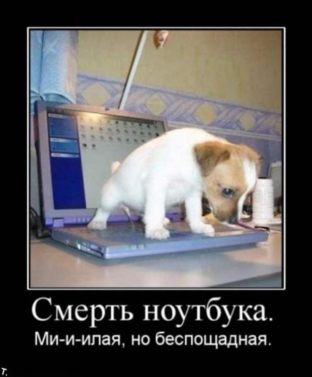 Подборка демотиваторов (84 фото)