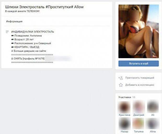 В интересах детей: депутат Госдумы поддержала введение ответственности за интим-контент со "сливом шкур" во "ВКонтакте"