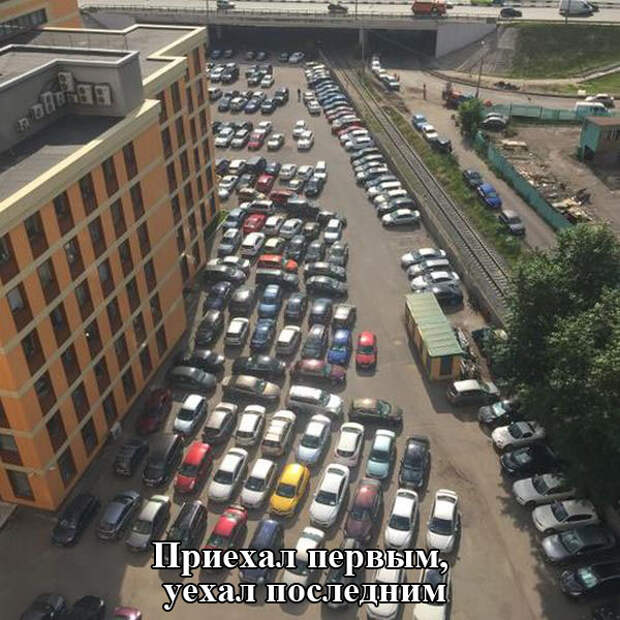 Прикольные картинки (92 фото)