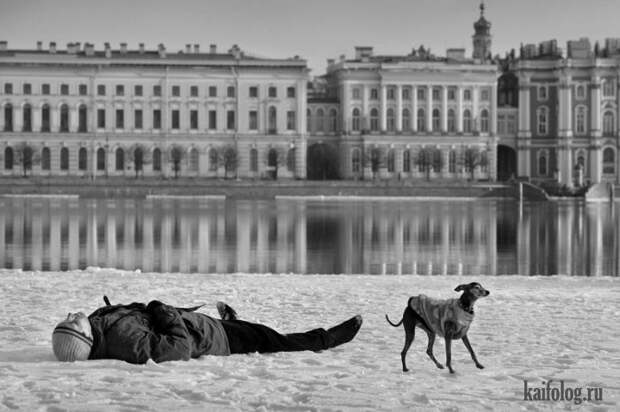 Фото Петросяна (55 фото)