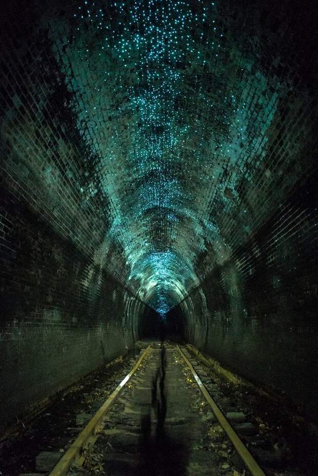 Его еще называют тоннелем светлячков - они во множестве селятся на потолке заброшенного строения интересное, красота, тоннели, удивительное, факты
