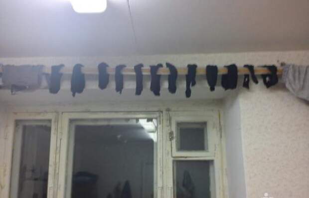 суровые будни в студенческом общежитии 