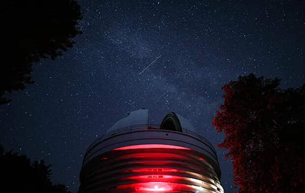 Уникальные артефакты и онлайн-курсы: схемы мошенников ко Дню космонавтики