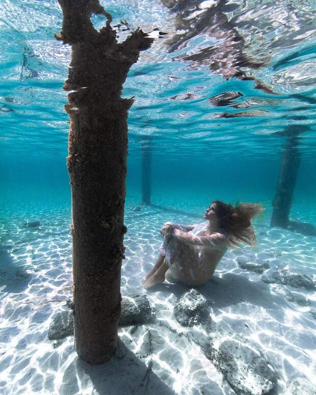 Андре Масгроув (André Musgrove) и его невероятные подводные снимки