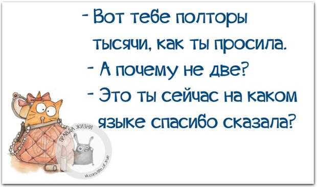 Позитивные фразочки в прикольных картинках (23 штуки)