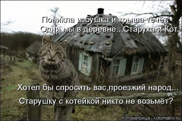 Лучшие котоматрицы недели