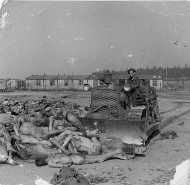 Все ужасы концлагеря Берген-Бельзен в редких архивных фотографиях