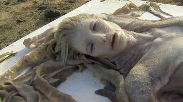 На берегу Средиземного моря нашли русалку, On the shores of the Mediterranean have found a mermaid
