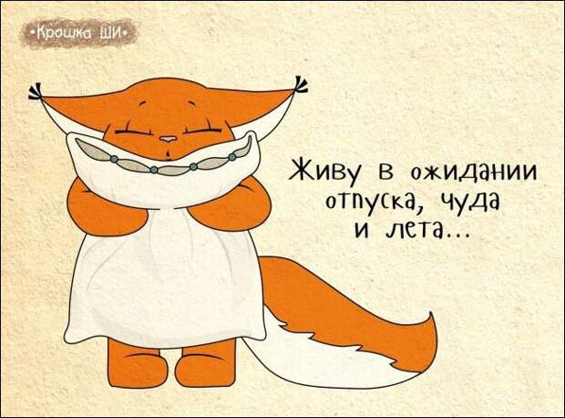 Девичья правда от белки Ши Девичья правда от белки Ши белка, рисунки