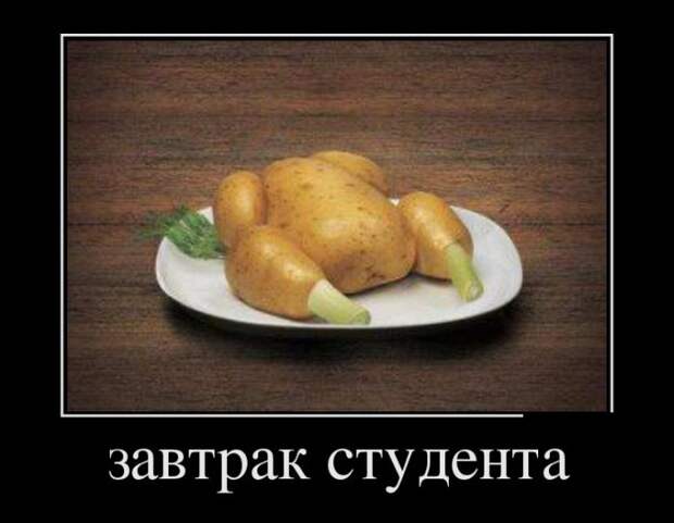 Демотиваторы №1210 (30 фото) Демотиваторы №1210 (30 фото)