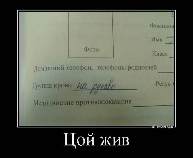 Демотиваторы демотиваторы, прикол, смех, юмор