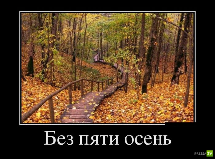 Демотиваторы на август, часть 22 (30 фото)