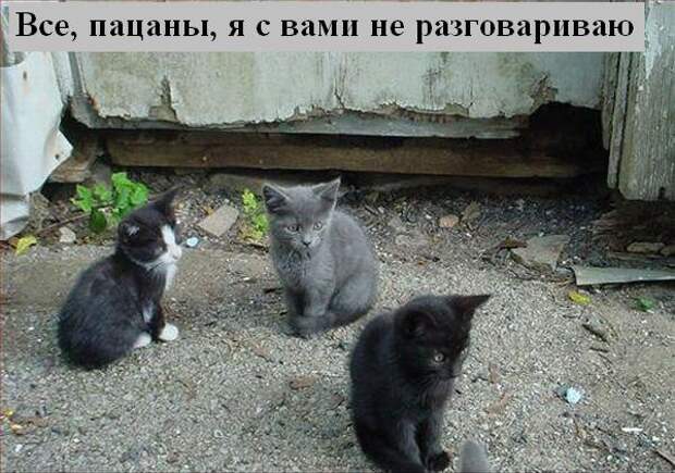 Мысли :) (50мыслей)