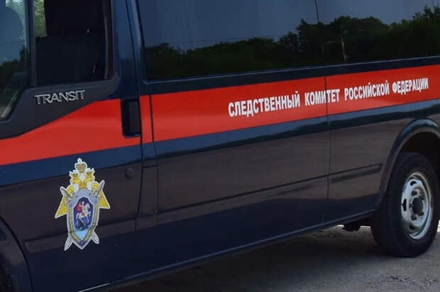 СК завел уголовное дело после исчезновения троих подростков в Звенигороде