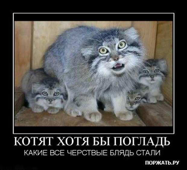 Прикольные демотиваторы (часть 1)