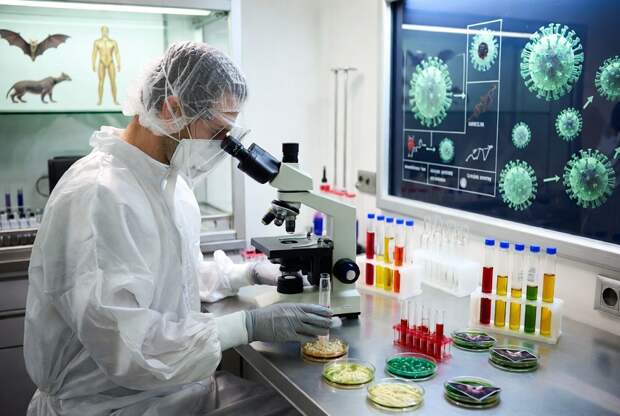 Скрытый вирус летучих мышей Pteropine orthoreovirus грозит людям заражением