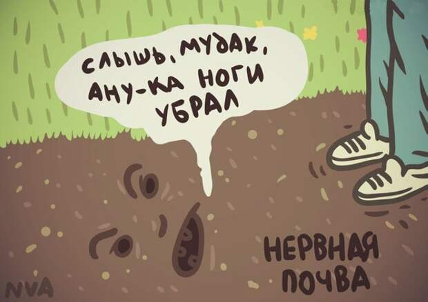 Пятничная подборка приколов Анекдоты, коты, юмор