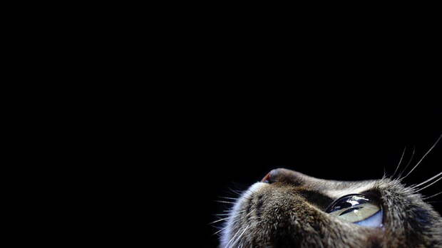 1357981473_00013 (700x393, 27Kb)