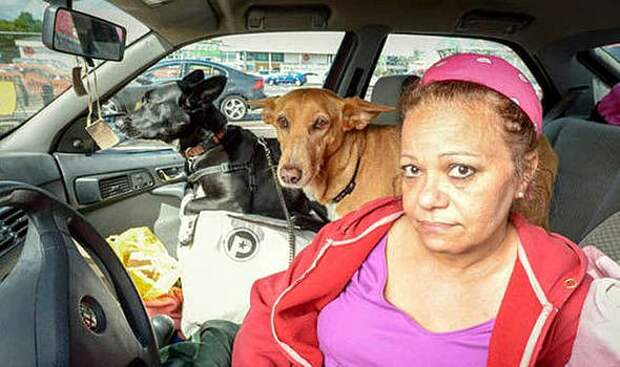 5.30.15 - Teacher Chooses to Live in Car Rather Than Give Up Dogs2