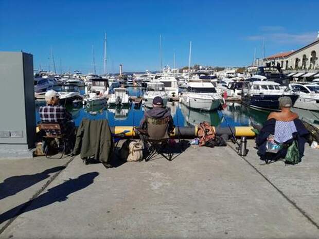 Американец приплыл на яхте к возлюбленной в Сочи, но был задержан