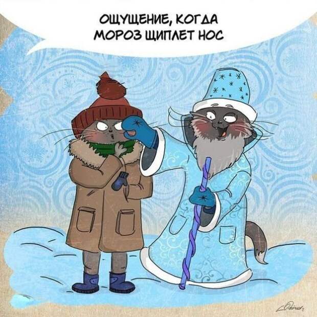 10 доказательств того, что зима ничем не хуже лета зима, лето