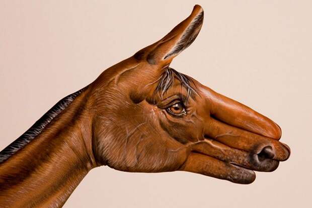 Руки-звери от художника Гвидо Даниэлле