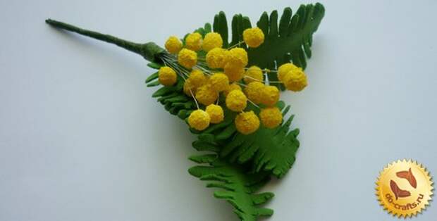 mimoza-iz-foamirana-glavnaya