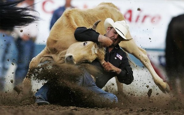 http://www.mostrated.ru/activity/sport/11-samih-ekstremalnih-vidov-sporta.html