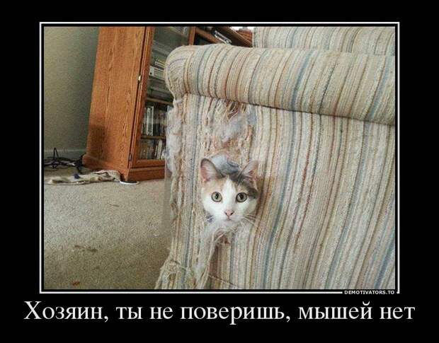 Демотиваторы (51 фото) 