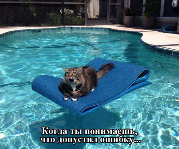 Приколы из повседневной жизни 7