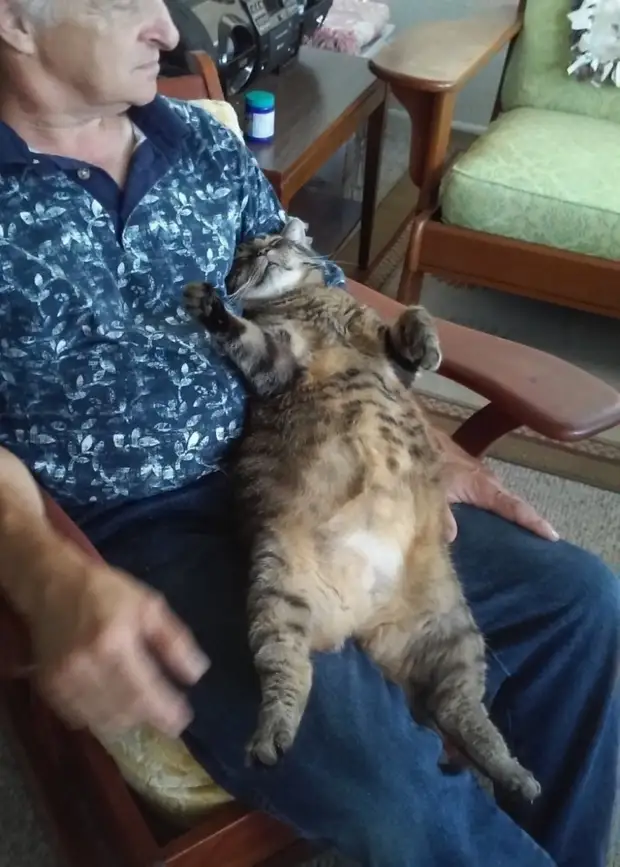 10 лет каждое утро котик приходит обнять своего хозяина