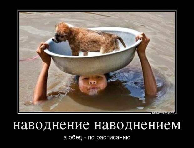 Демотиваторы (51 фото) 
