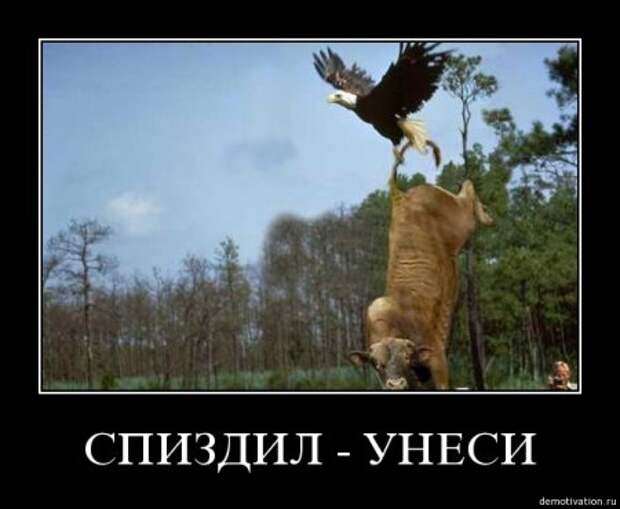 Демотиваторы, будет смешно много новых и прикольных!