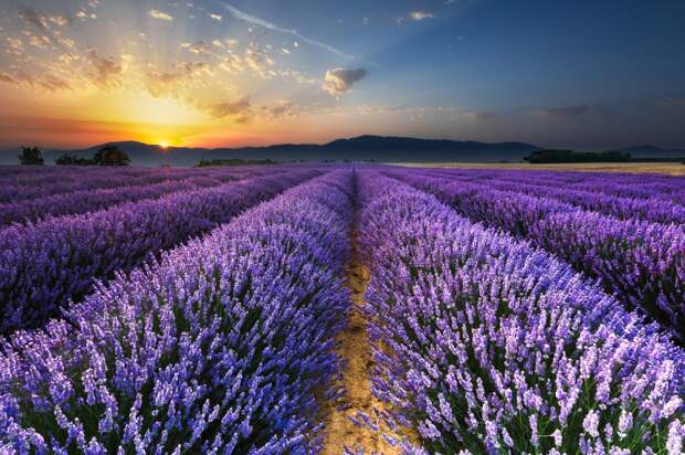 25-Photos-Which-Charmed-Even-Professional-Photographers-Artnaz-Com-15