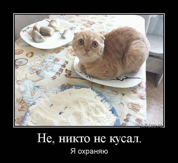 Демотиваторы демотиваторы, прикол, смех, юмор