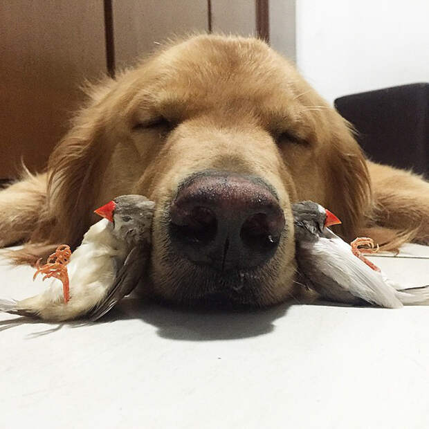 instagram.com