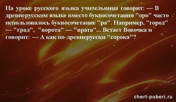 Самые смешные анекдоты ежедневная подборка chert-poberi-anekdoty-chert-poberi-anekdoty-56580311082020-19 картинка chert-poberi-anekdoty-56580311082020-19