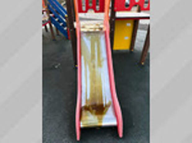 Фото: глава Славгорода Людмила Подгора