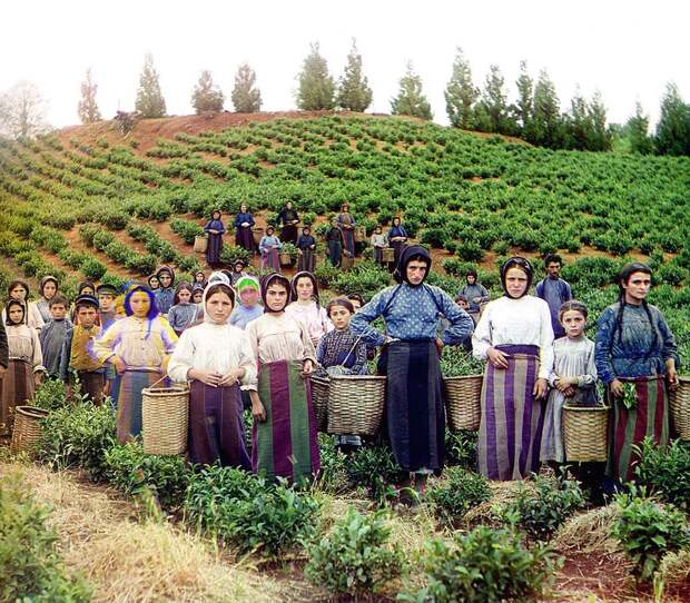 дореволюционная россия