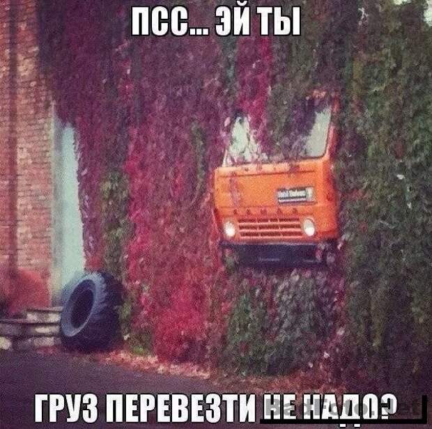 Автомир в прикольных картинках (30 фото) Автомир в прикольных картинках (30 фото)