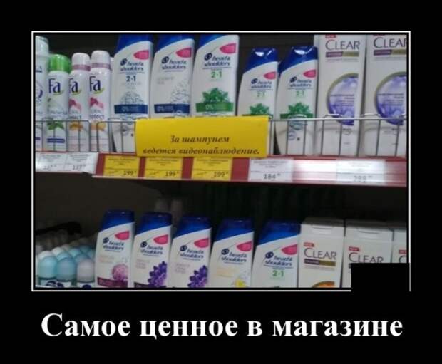 Демотиваторы (20 фото)