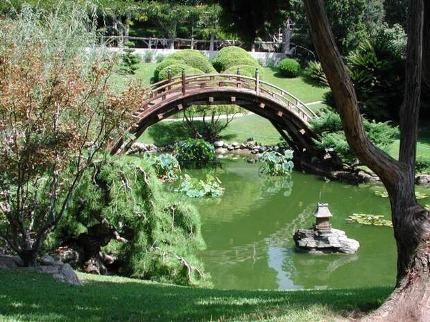 Японский сад (216) (700x524, 356Kb)