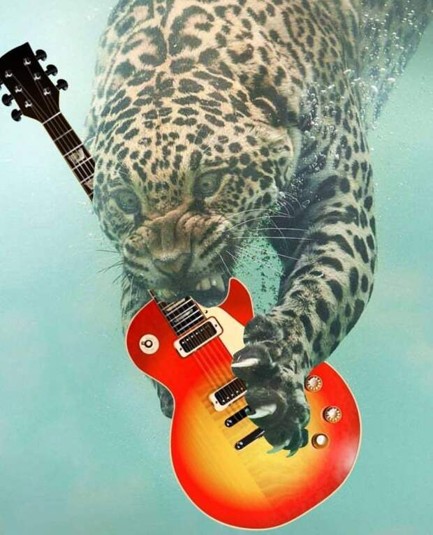 10. Def Leopard собираются отправиться в тур с новым гитаристом животные, котик, леопард, фотошоп, юмор