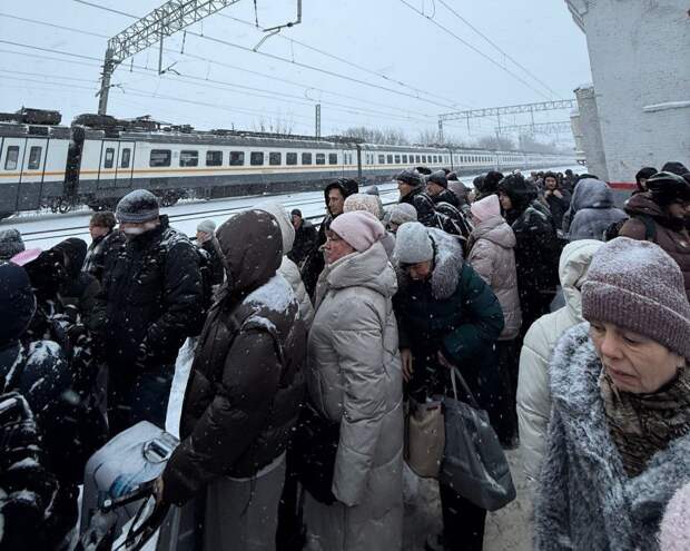 В МЖД рассказали о причинах остановки экспресса Рязань-Москва