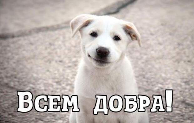 Прикольные фотомемы - забавные картинки Прикольные фотомемы - забавные картинки