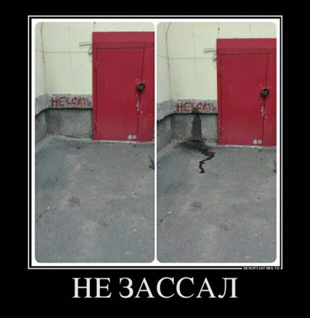 Новые демотиваторы (29 шт)
