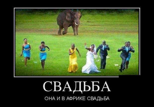 Демотиваторы (30 фото) Демотиваторы (30 фото)