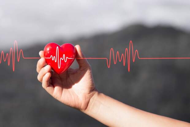 Названы простые способы избавить сердце от проблем