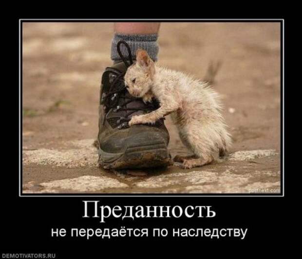 новые демотиваторы со смыслом