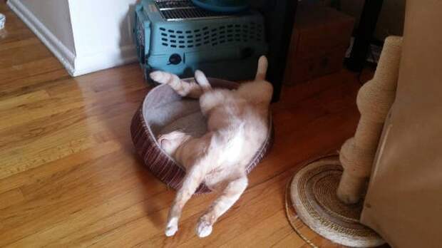 ПОДБОРКА ФОТОПРИКОЛОВ